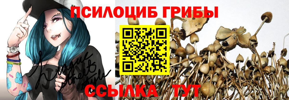 Ишим  Псилоцибиновые грибы прущие грибы  Псилоцибиновые грибы Psilocybe  Вход с VPN 